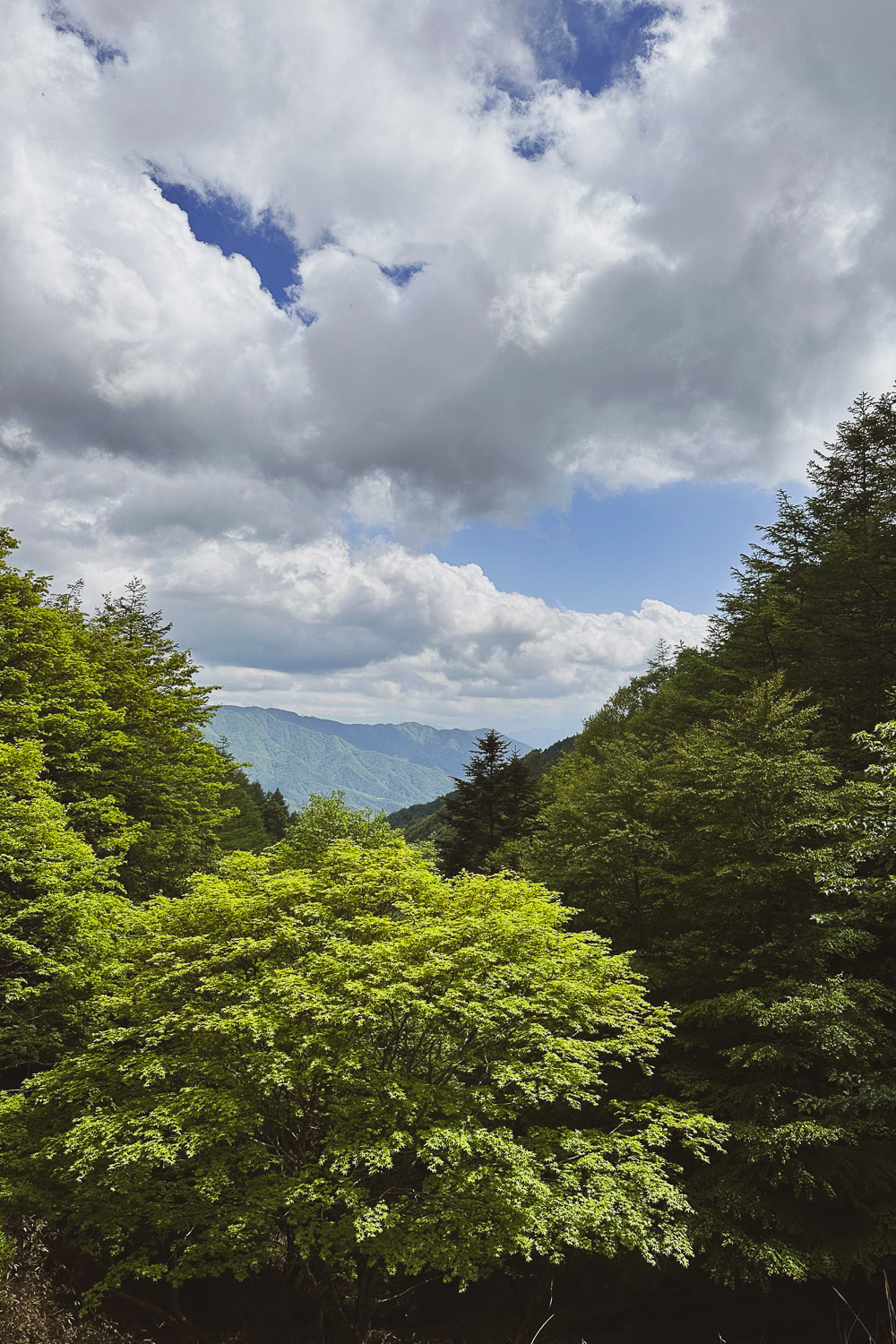 The view from the top of Yanagisawa pass.